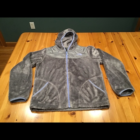 The North Face Other - THE NORTH FACE GRAY TEDDY BEAR POLAR FLEECE JACKET